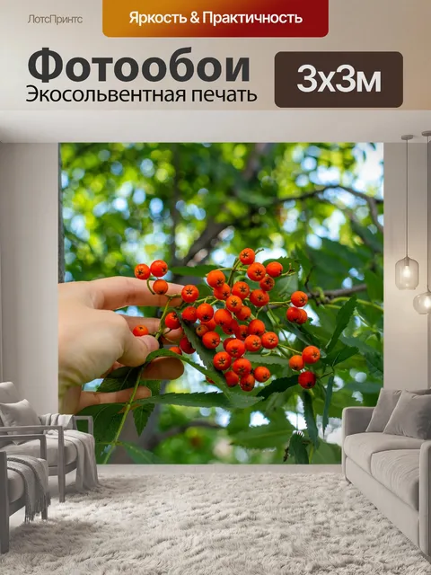 Фотообои Рябина