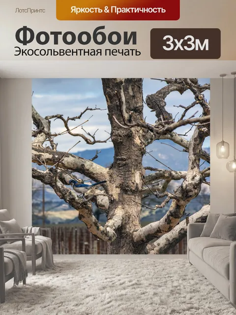 Фотообои голубая сойка
