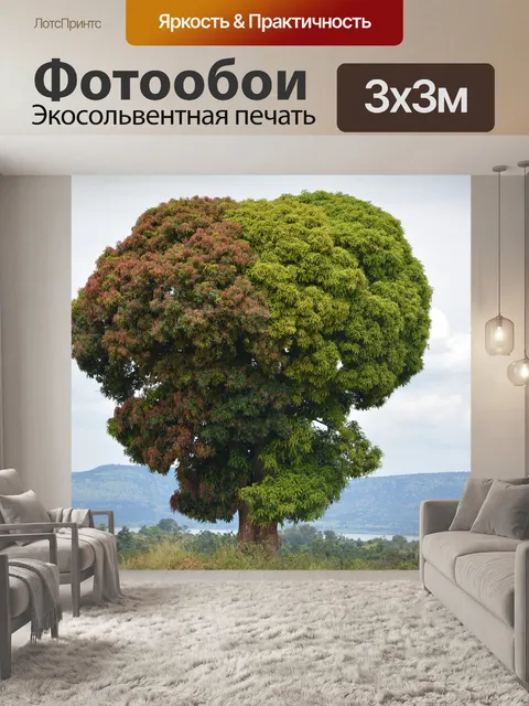 Фотообои Африке