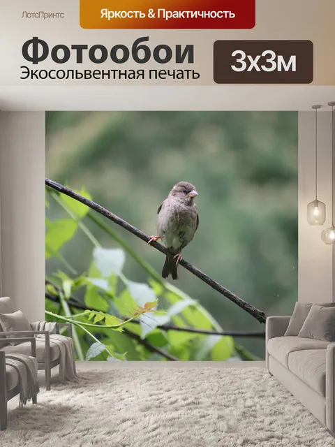 Фотообои Дерево воробей