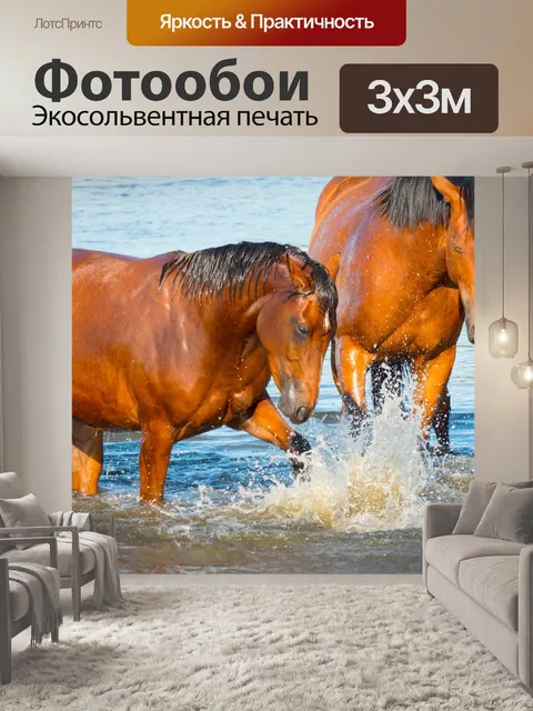Фотообои Лошади