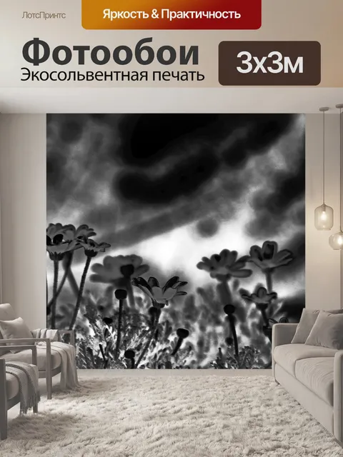 Фотообои ромашки изложил