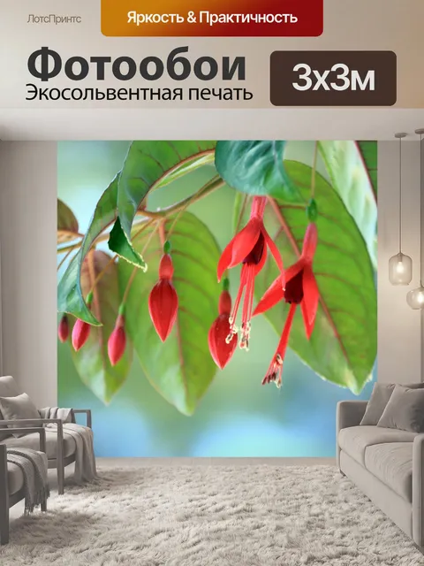 Фотообои Красный цветок 2
