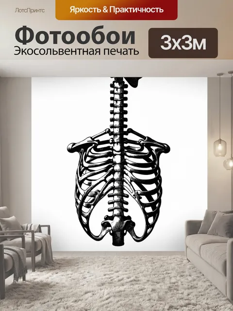 Фотообои художественная интерпретация гравюры с подвесной грудной клеткой в анатомическом контексте