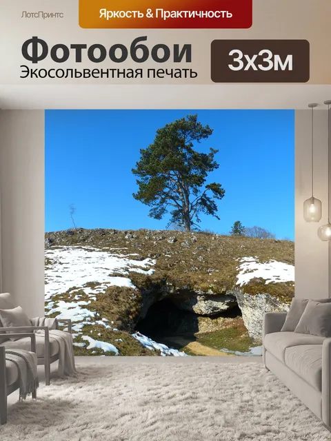 Фотообои Птица плита пещера