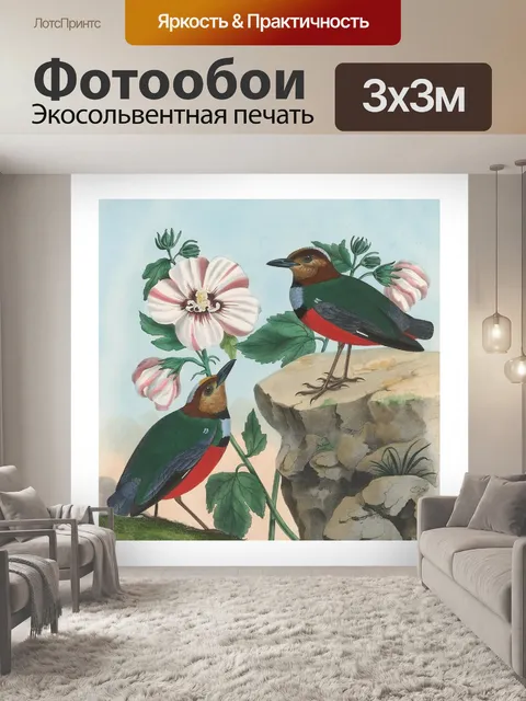 Фотообои Винтажные иллюстративные птицы
