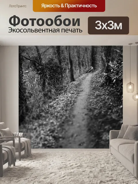 Фотообои Темный путь