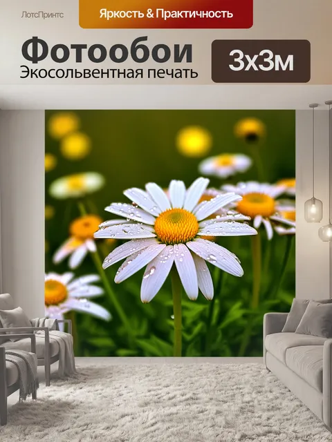 Фотообои близкий план луговых ромашек с каплями росы на их лепестках