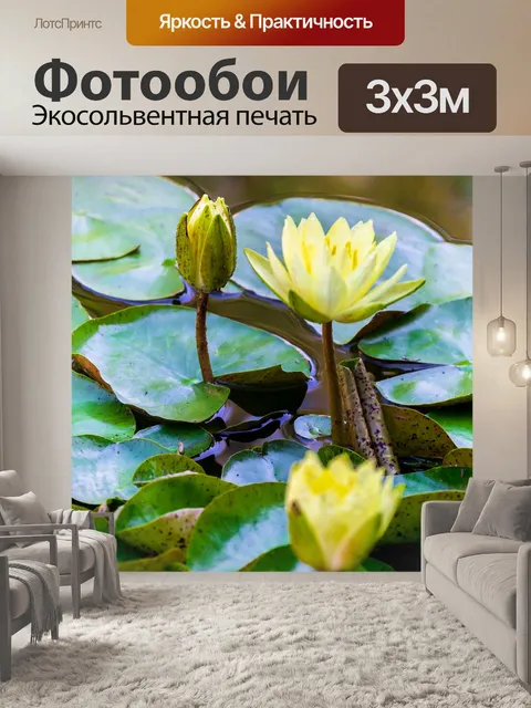 Фотообои Цветок