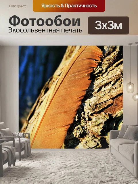 Фотообои гусиное перо