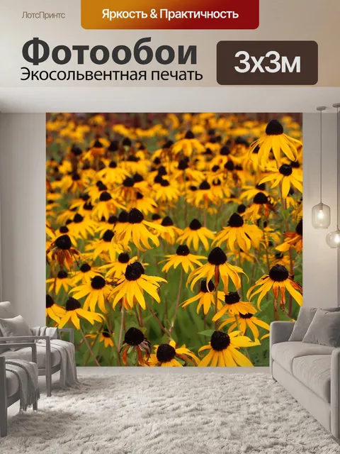 Фотообои Черноглазый