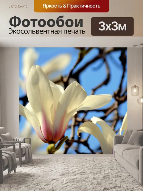 Фотообои Магнолия Дерево Blossom (б)
