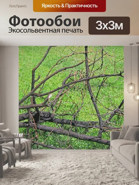 Фотообои Сухая ветка на зеленой лужайке
