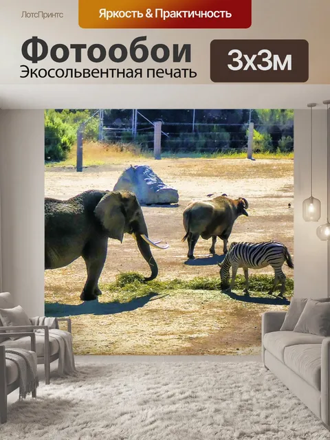 Фотообои Зебра, слон и водный буйвол