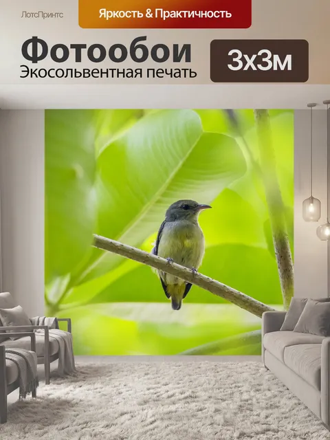 Фотообои Пятнистых