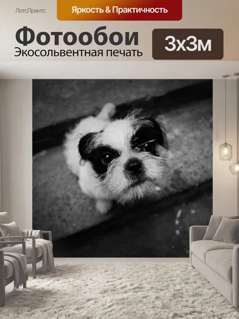 Фотообои Собака