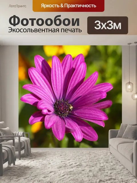Фотообои Цветочный садик