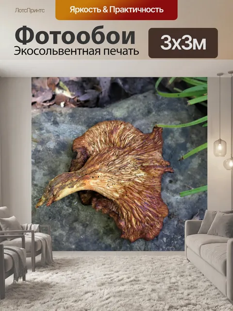Фотообои Джек-О-Фонарь Грибная Нижняя