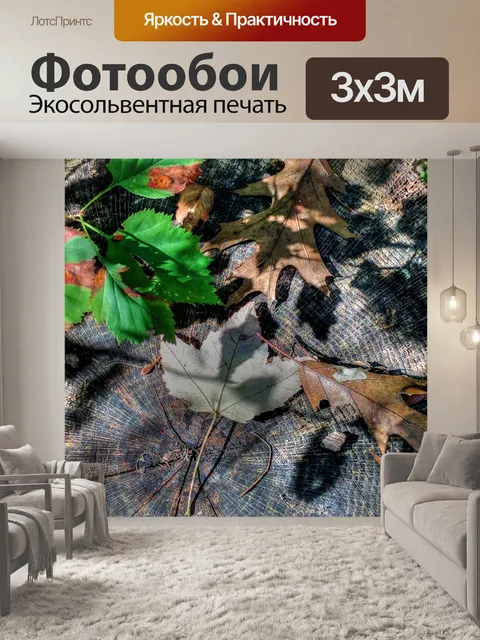 Фотообои Осенние листья на дереве