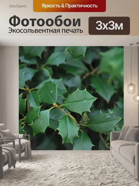 Фотообои Холли Три