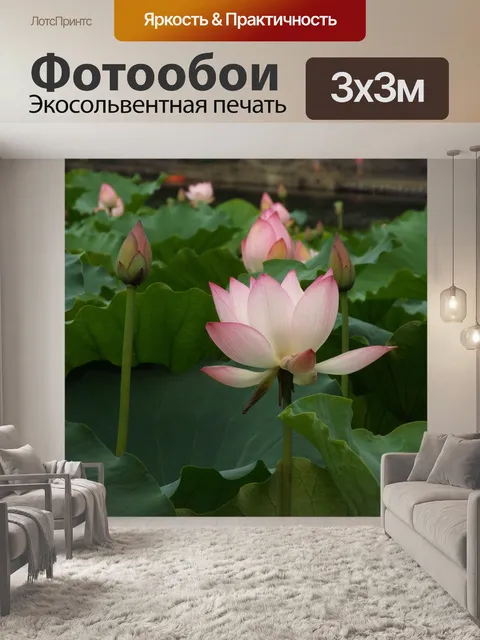 Фотообои Lotus