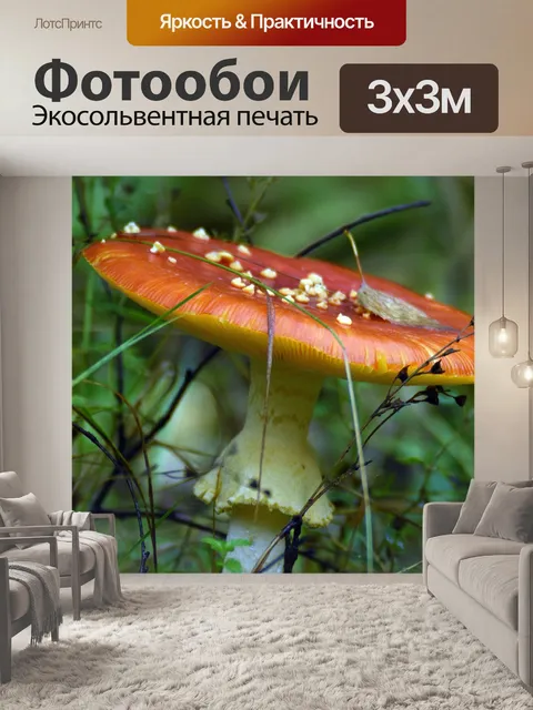 Фотообои Грибы