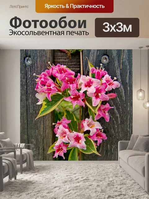 Фотообои Четки