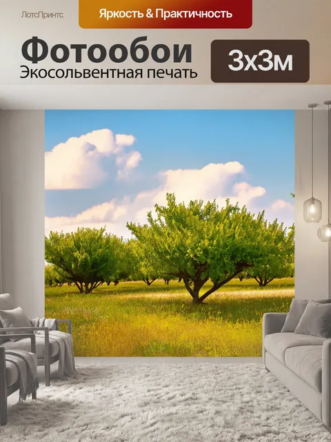 Фотообои прованс: лавровые деревья, сверкающие на солнце, с подножием из цветной травы