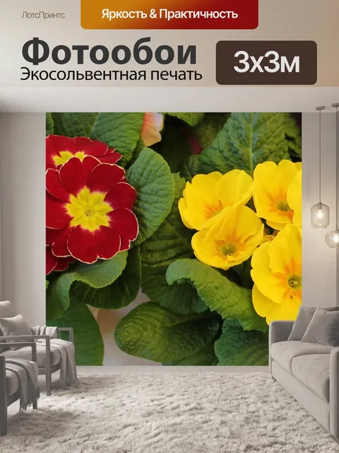 Фотообои Горшки для примулы