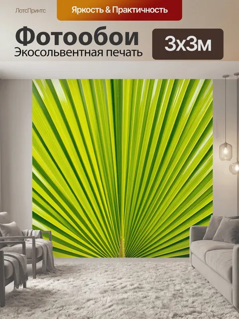 Фотообои Лучистый зеленый лист пальмы