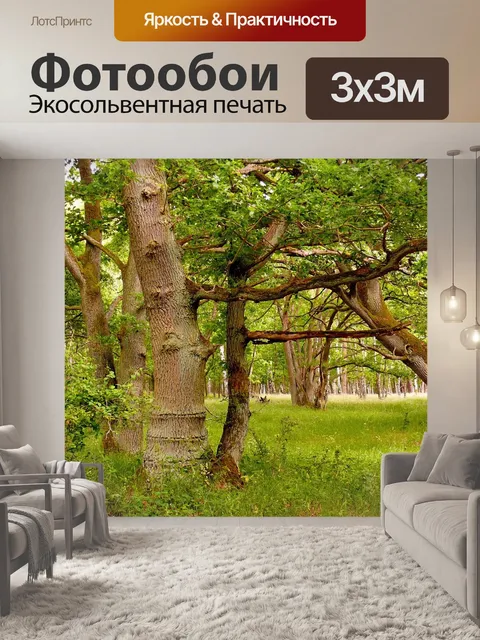Фотообои Деревья