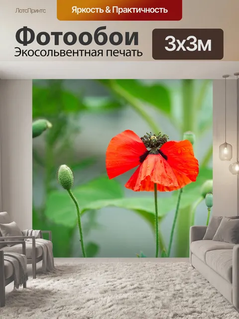 Фотообои Цветок мака