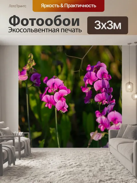 Фотообои Душистый горошек