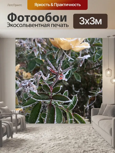 Фотообои Кустовая роза