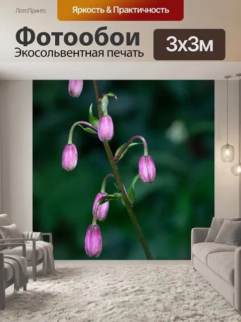 Фотообои Турка шапка лилии