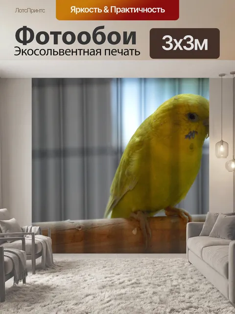 Фотообои Птица