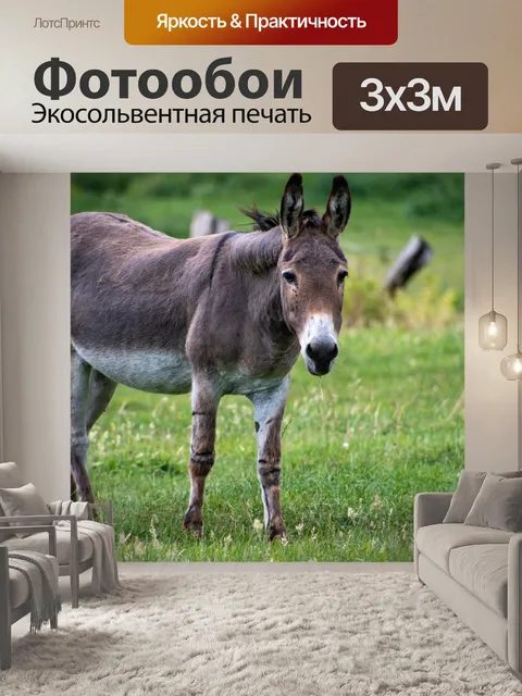 Фотообои Осел