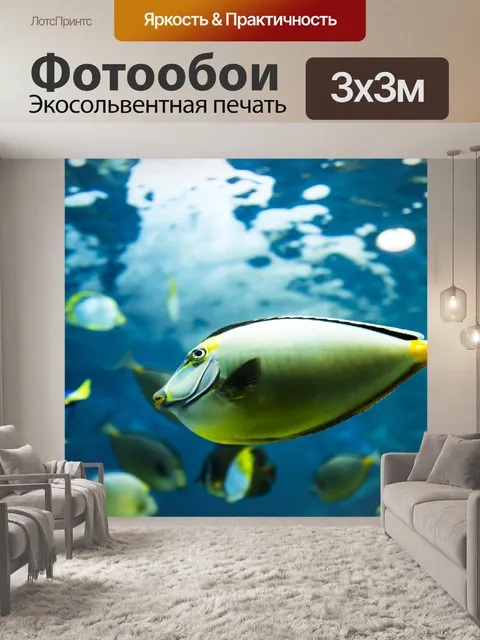 Фотообои Аквариум отару