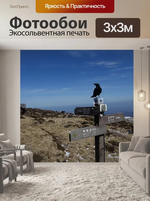 Фотообои Зима