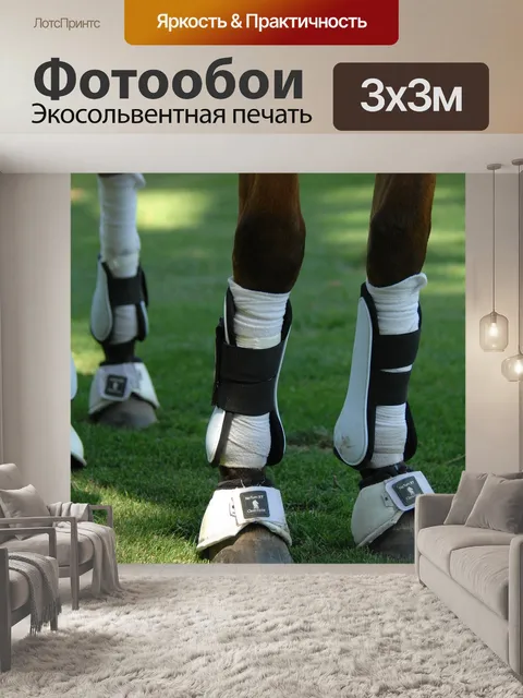 Фотообои Лошадь