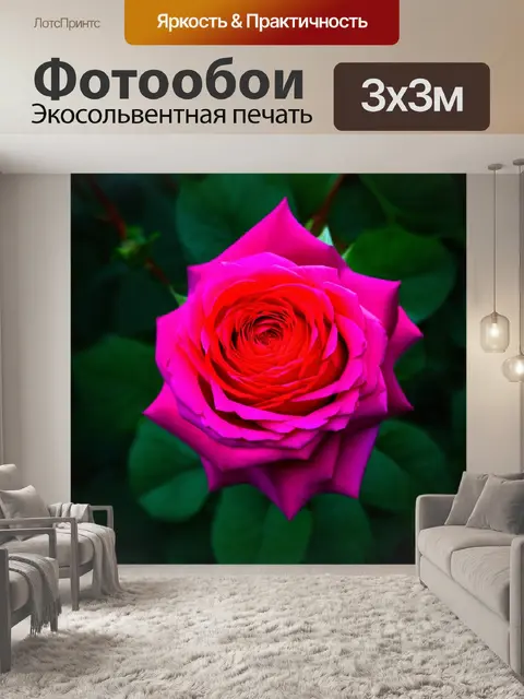 Фотообои розы в стиле абстракции, современные узоры, яркие цветовые решения и уникальные композиции