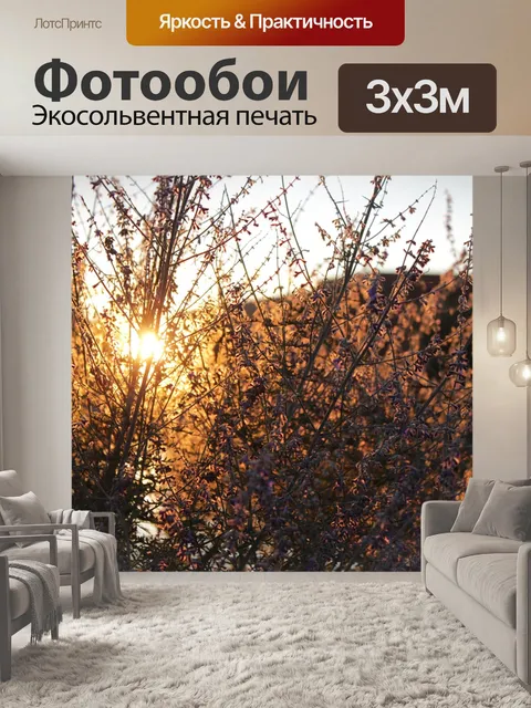 Фотообои Сорняки