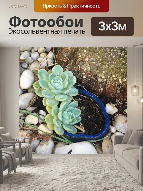 Фотообои Природа