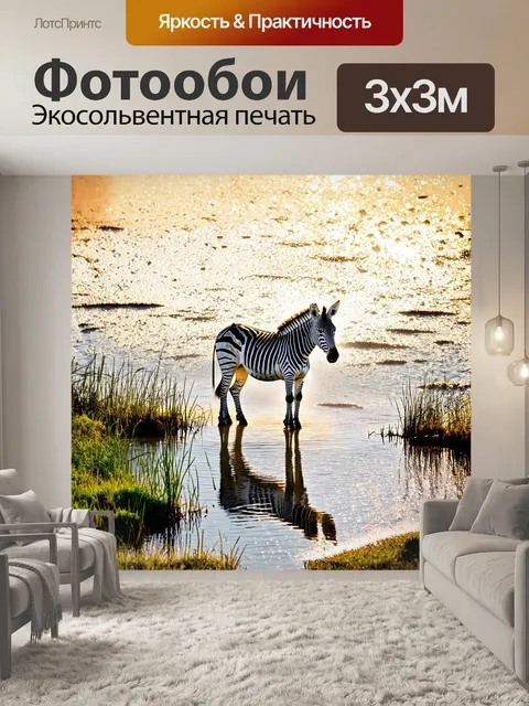Фотообои на рассвете, зебра стоит у водопоя, где прозрачные воды реки отражают роса, расстилающуюся по траве