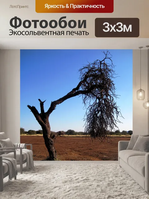 Фотообои сухостой