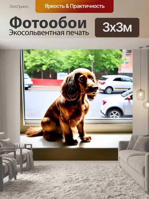 Фотообои кокер-спаниель, сидящий на подоконнике, наблюдающий за проезжающими автомобилями