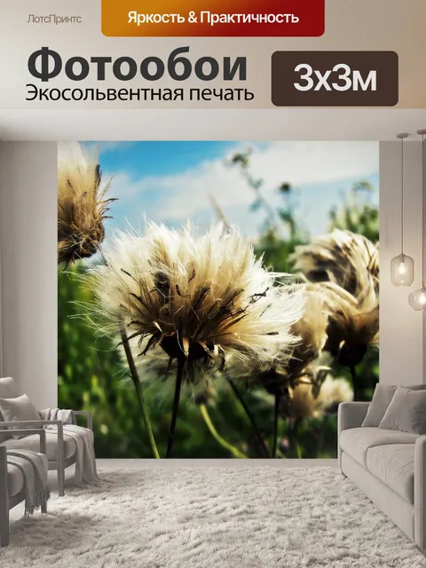 Фотообои Винтажные одуванчики