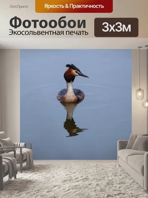 Фотообои Большая поганка