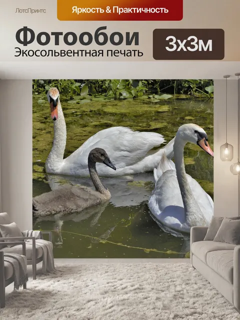 Фотообои Лебеди