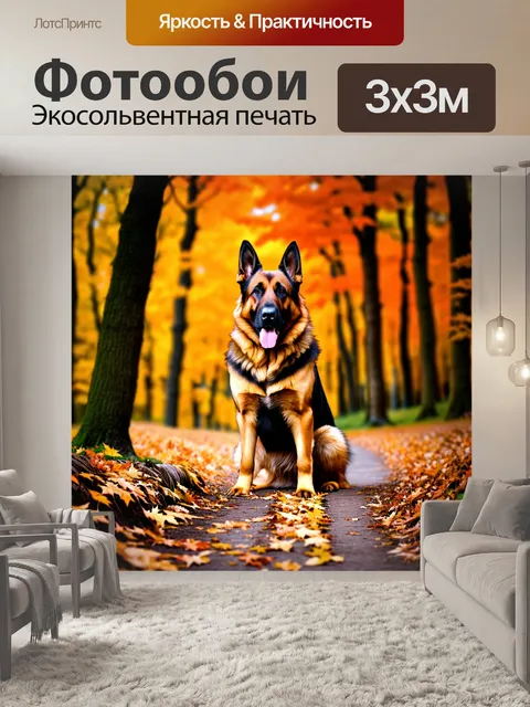 Фотообои в осеннем лесу старая немецкая овчарка сидит на фоне разноцветных листьев
